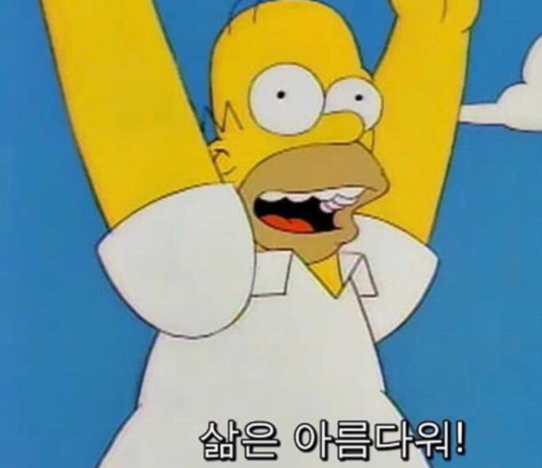 앨리스 프로젝트 이미지