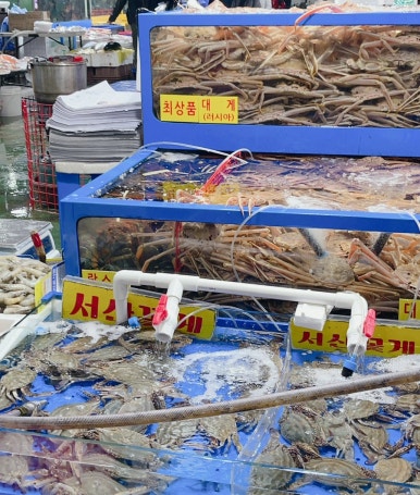 금정수산 이미지