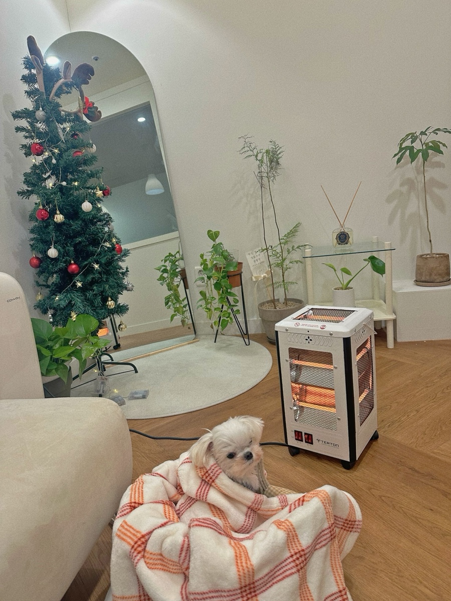 설뷰티샵 이미지