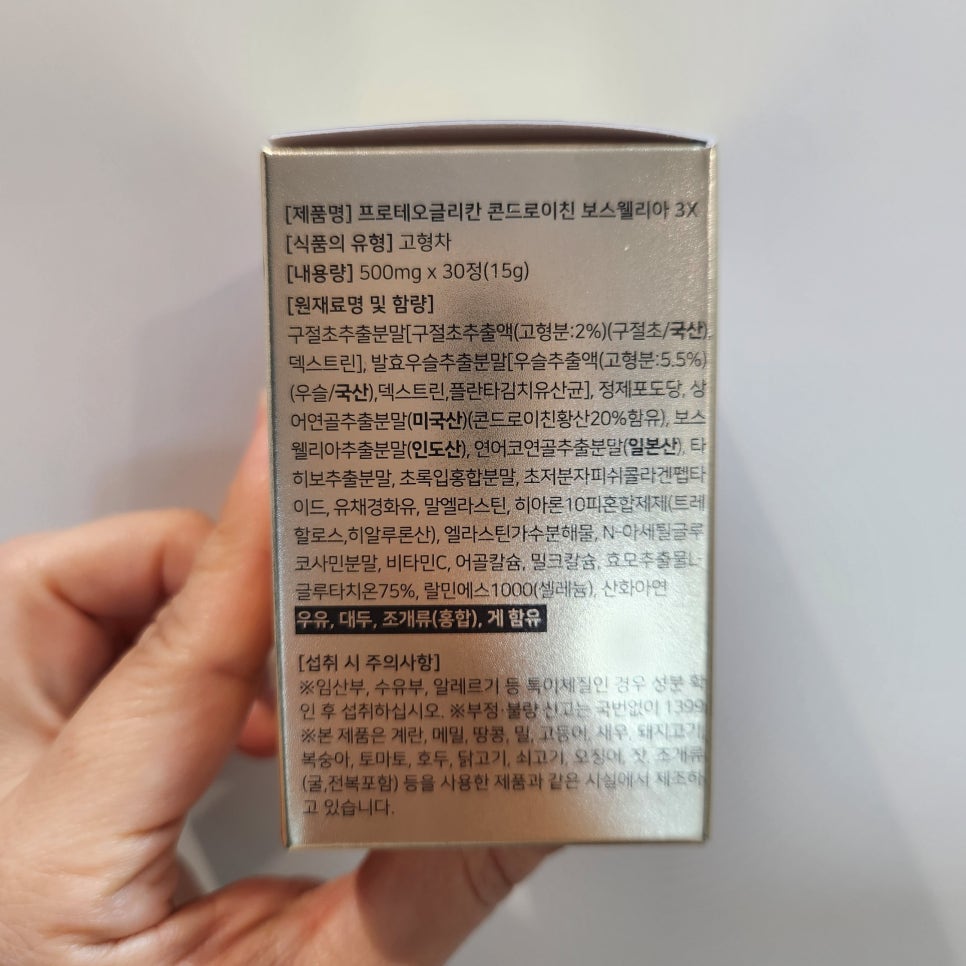 와이제이인터네셔널 이미지