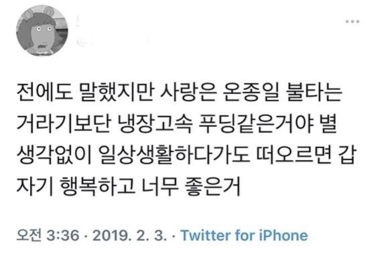 홀리몰리 이미지