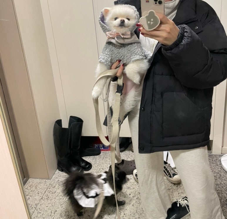 바어바 이미지