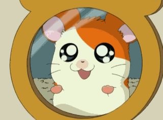 나눔에코 이미지