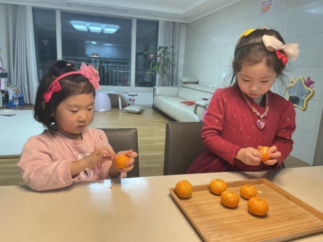 아이홀릭 이미지