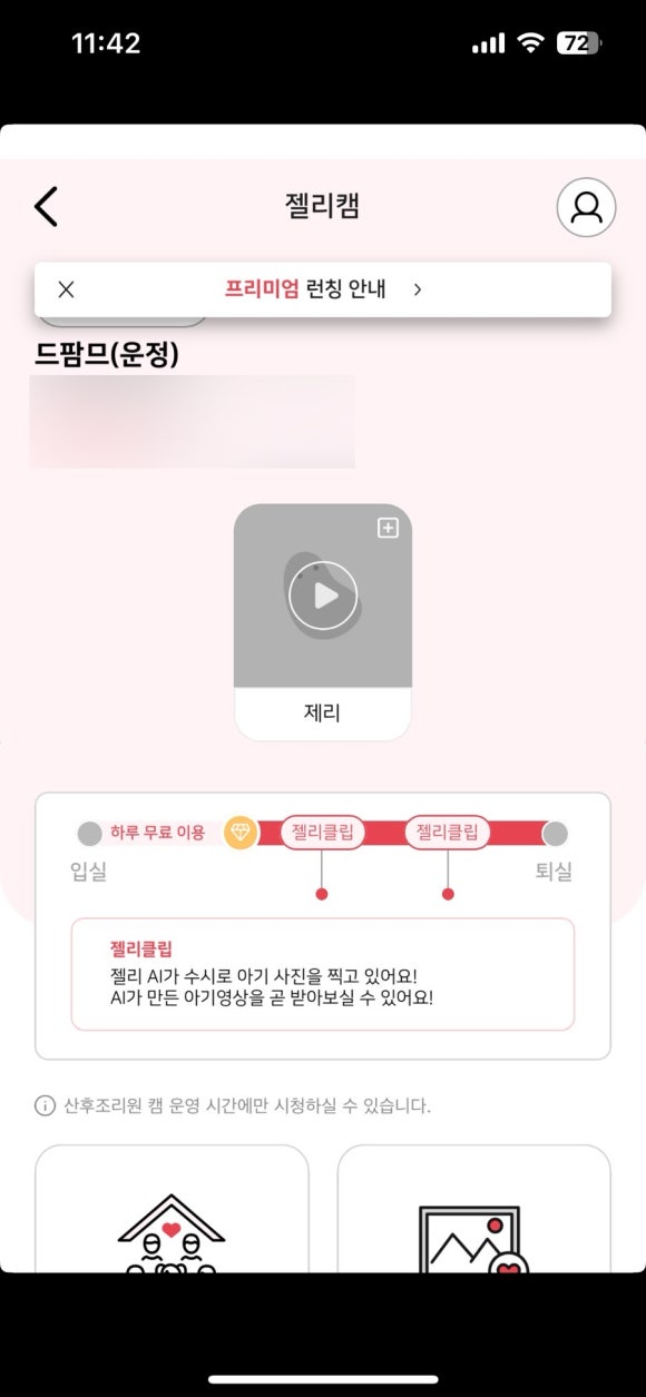 드팜므 이미지