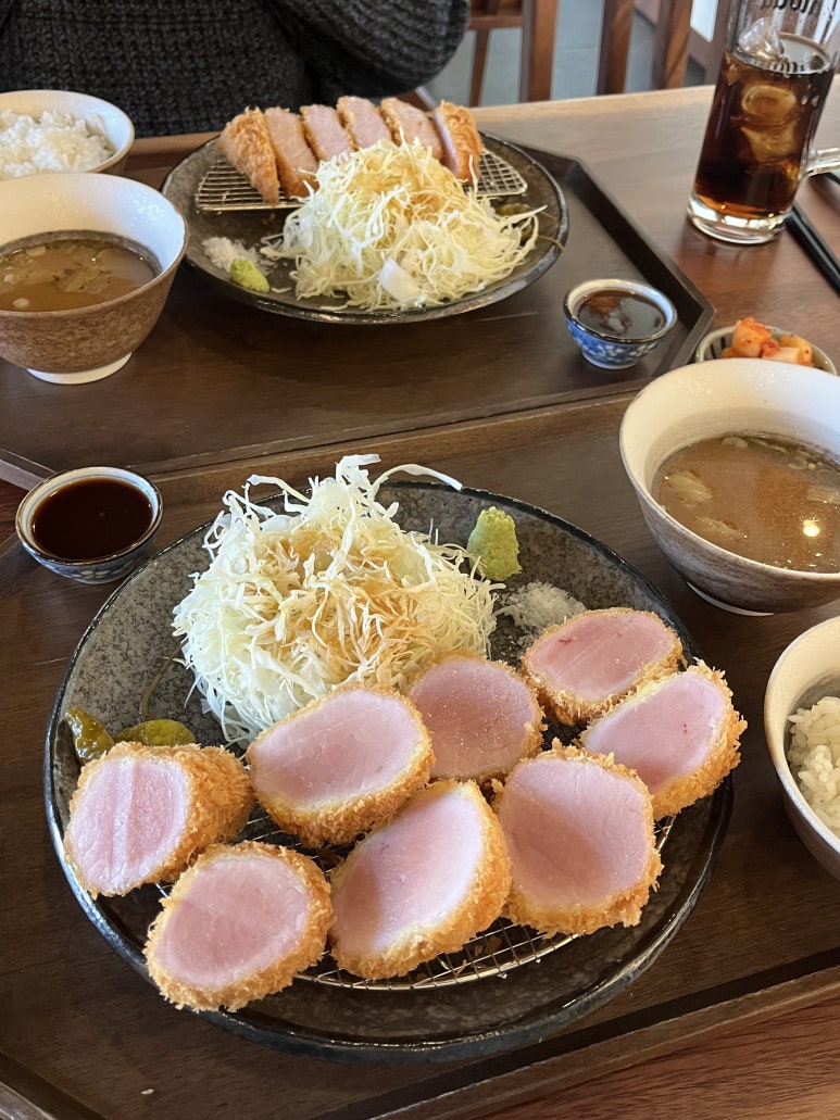 카츠닉 이미지