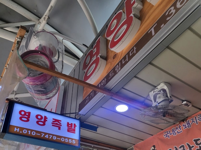 양동청과 이미지