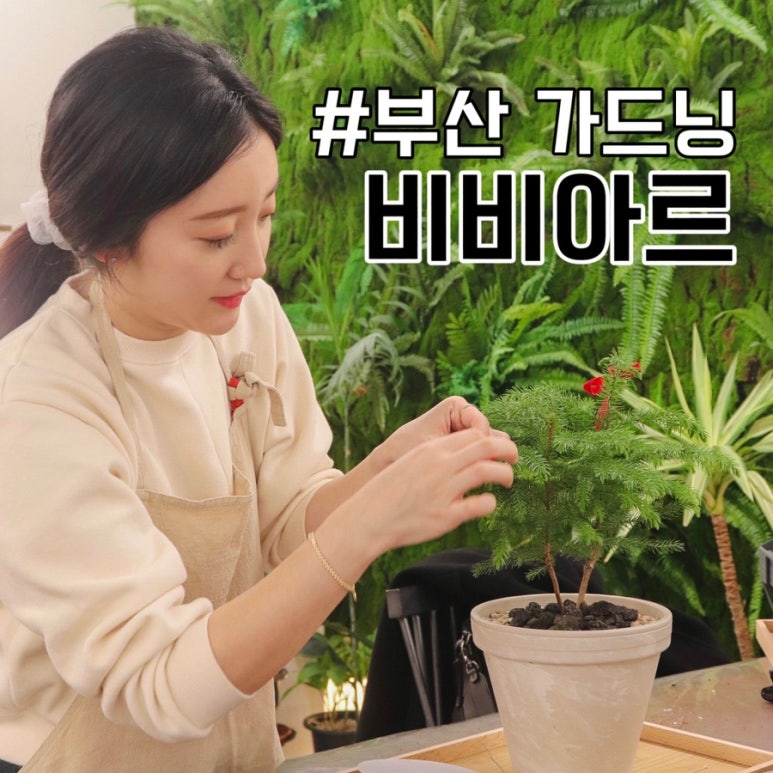 비비플랜트 이미지
