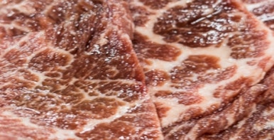 이동식당 이미지