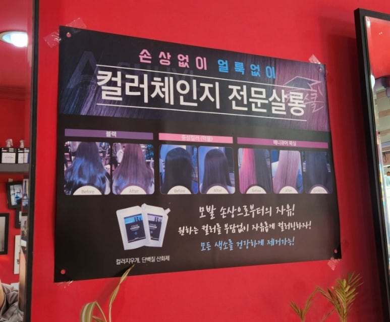 블랙싸롱 이미지