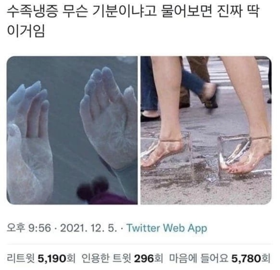 매일 크리스마스 이미지