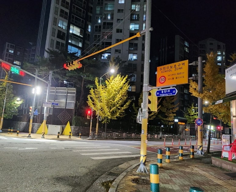 이선생도시어장 이미지