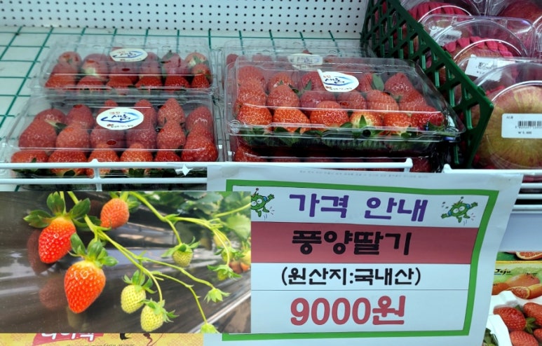 남예천농협 하나로마트 이미지