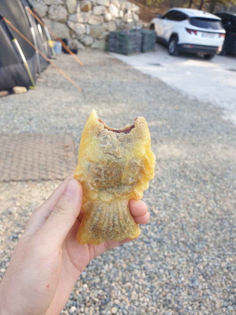 초롱별야영장 이미지