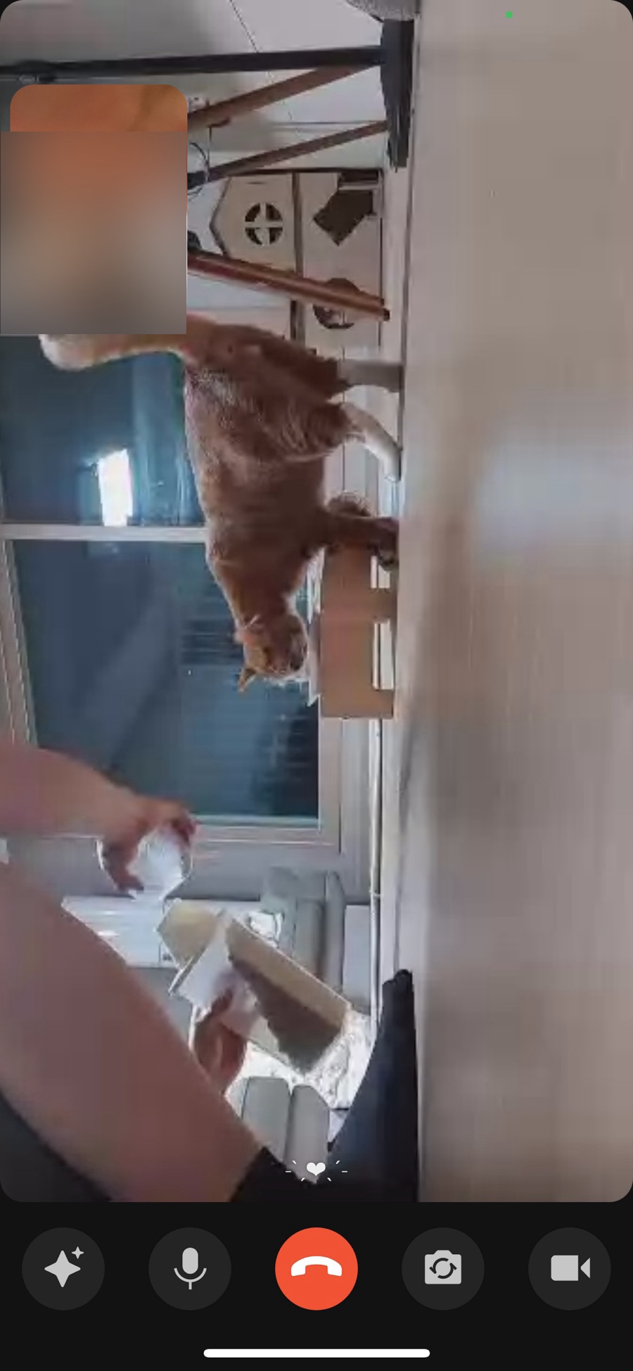 새일패키지 이미지