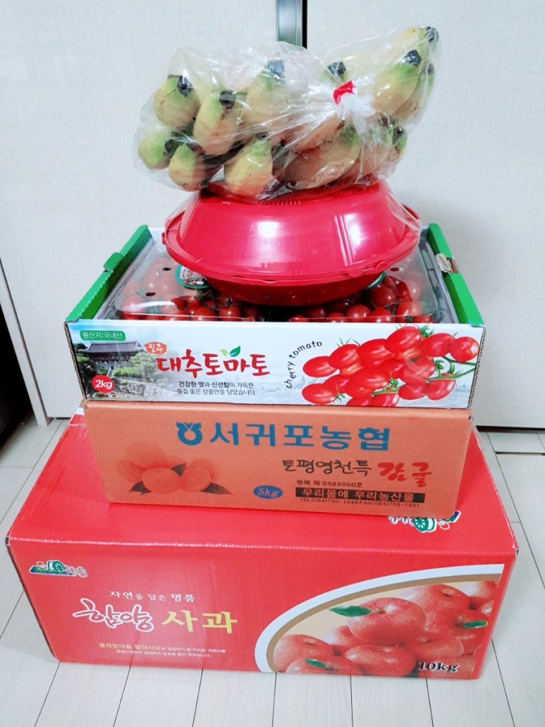 초전농업협동조합 이미지