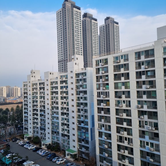 세남자솔루션 이미지