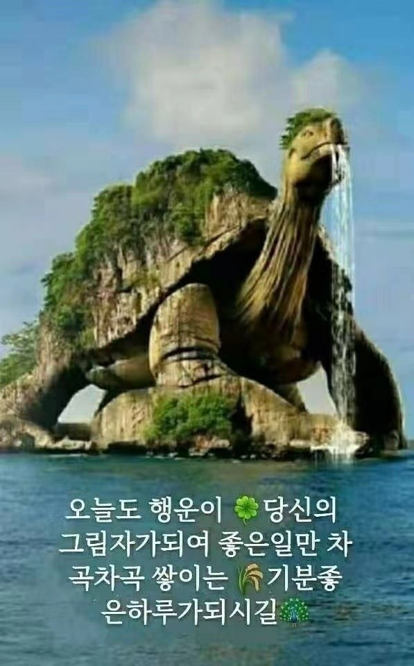 비옥 이미지