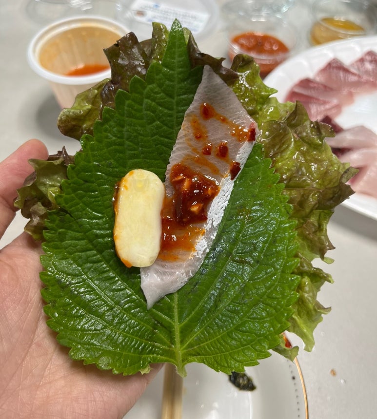 싱싱회수산물회 이미지