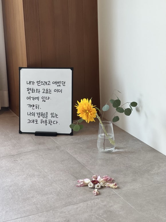 숨쉬는고래 이미지