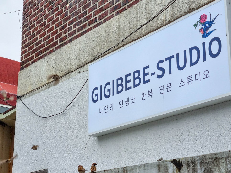 지지배배스튜디오 이미지