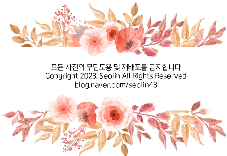 뚝딱트래블 이미지