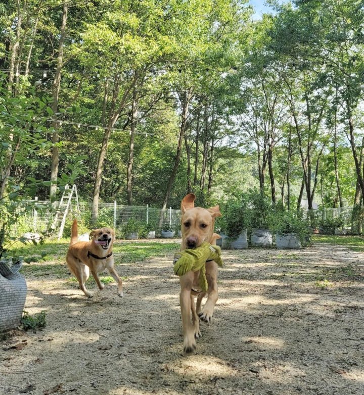 카페,두리 이미지