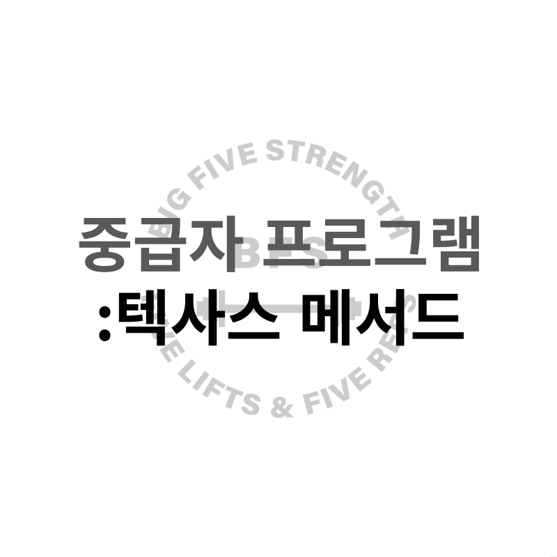 빅파이브스트렝스 이미지