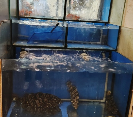 해미술집 이미지
