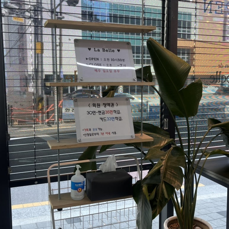살롱드라벨르 이미지