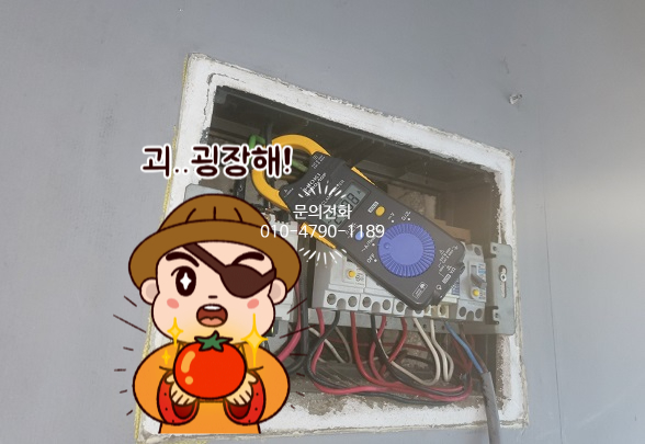 쭌헤어 이미지