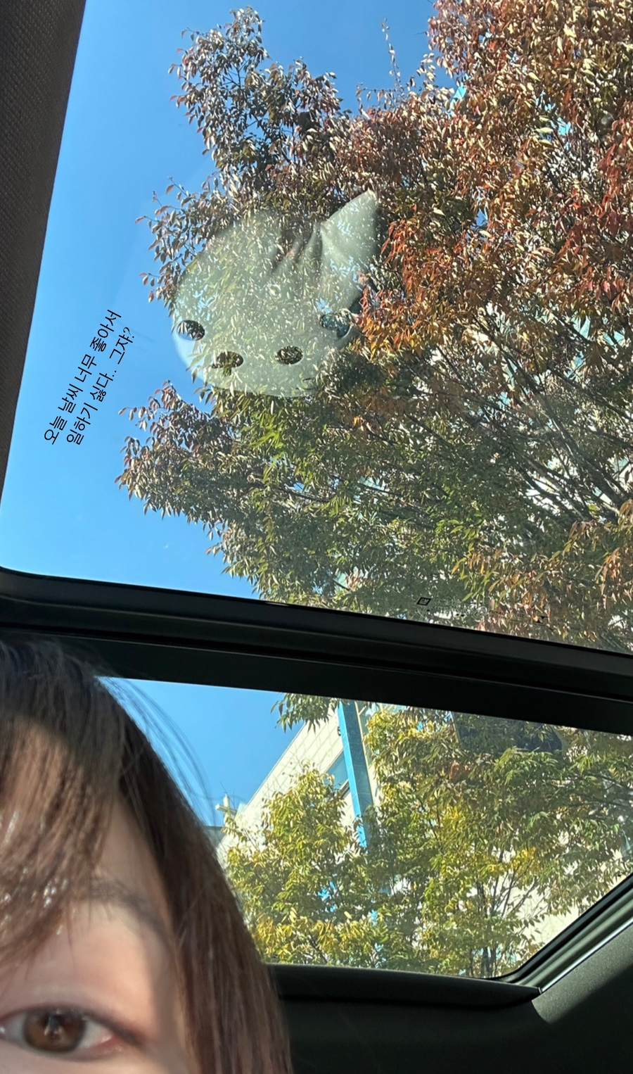 양말사 이미지