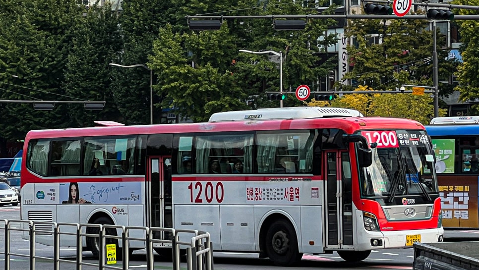 다니다 주식회사 이미지