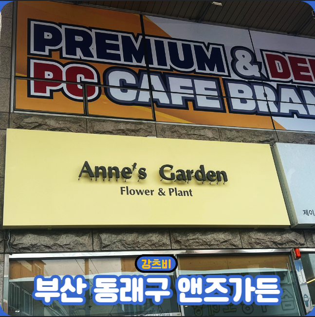 앤즈가든 이미지