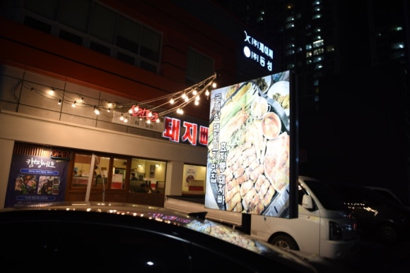 야돼지다 이미지