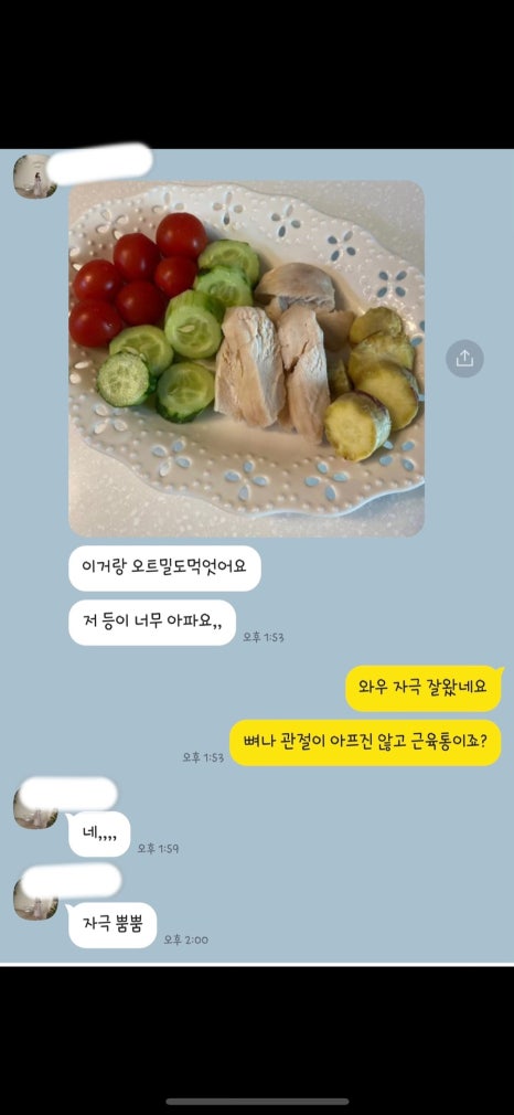 레고핏 이미지