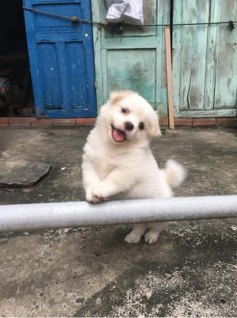 오션클라우드 이미지
