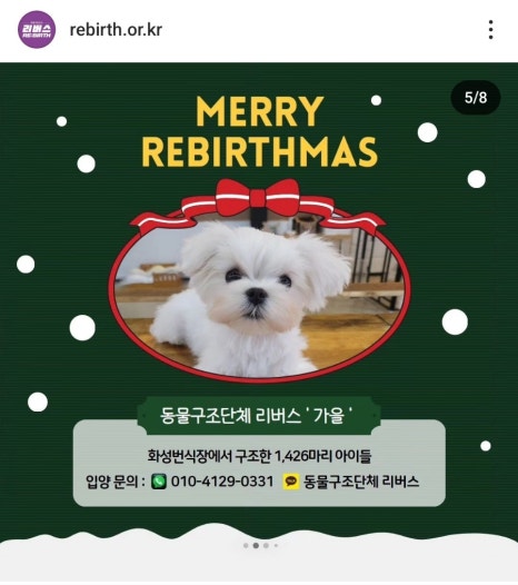 카페리브어스 이미지