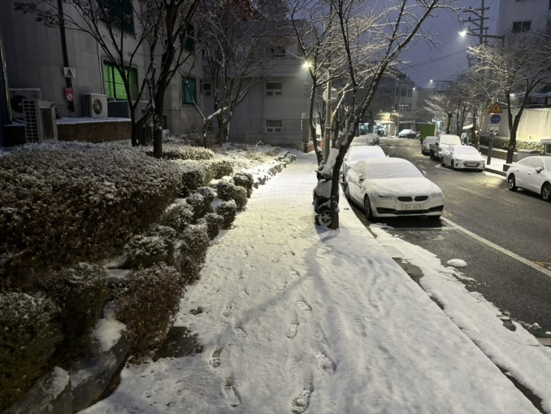 하프바버샵 이미지
