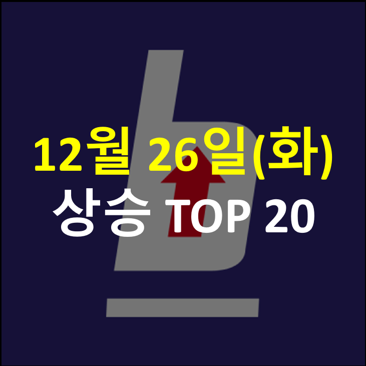 와이에스와이 이미지