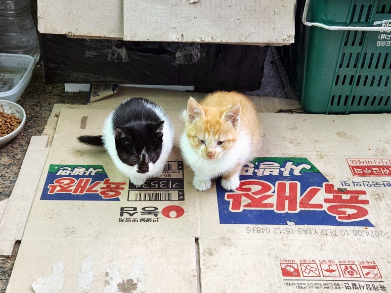 세븐일레븐태안근흥점 이미지