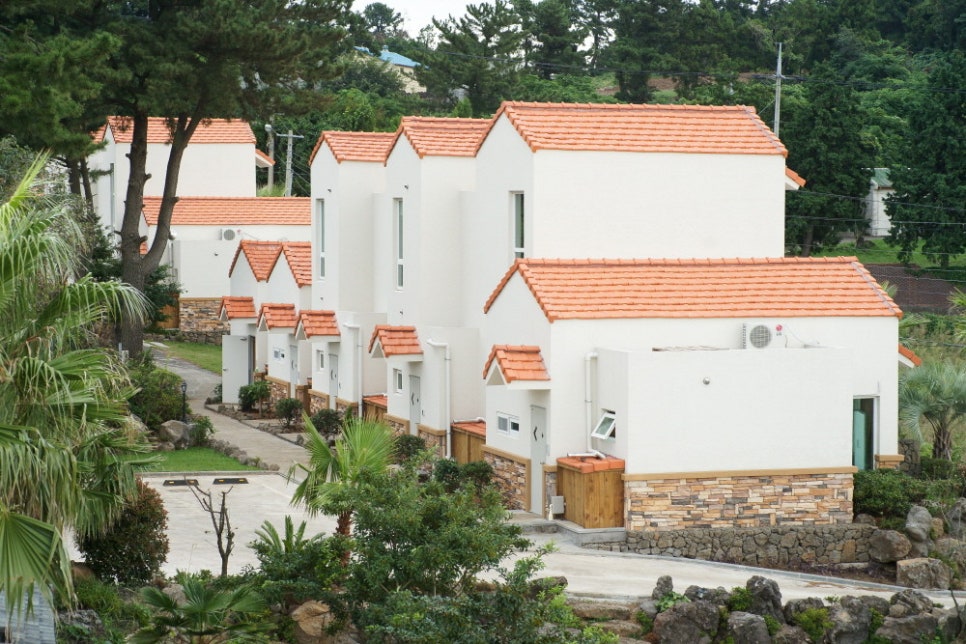 우리전기조명 이미지
