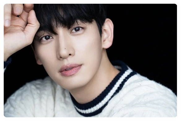빈대포차 이미지