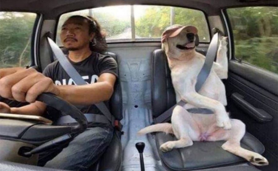아리랑캠핑 이미지