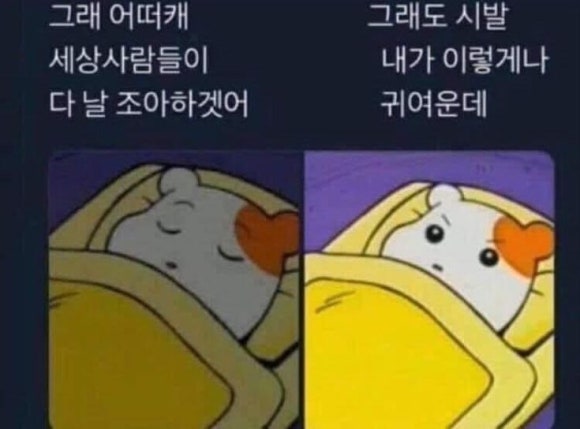 무운 이미지