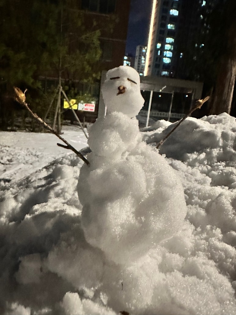 세계가설재 이미지
