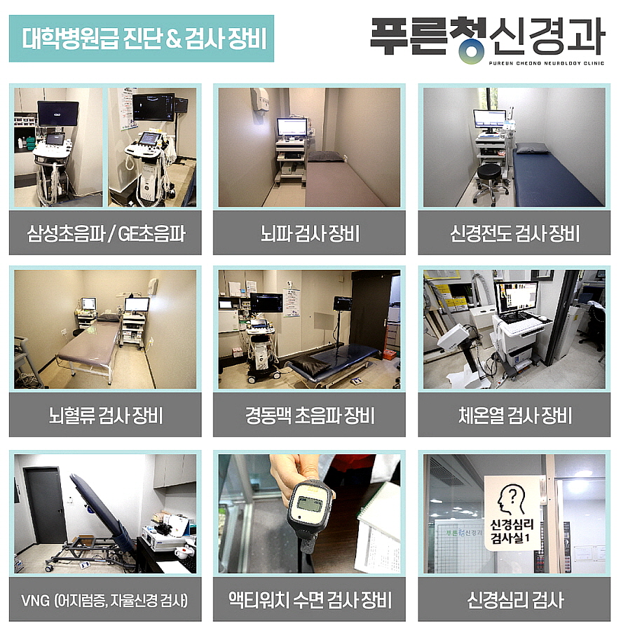 수성신경과 이미지