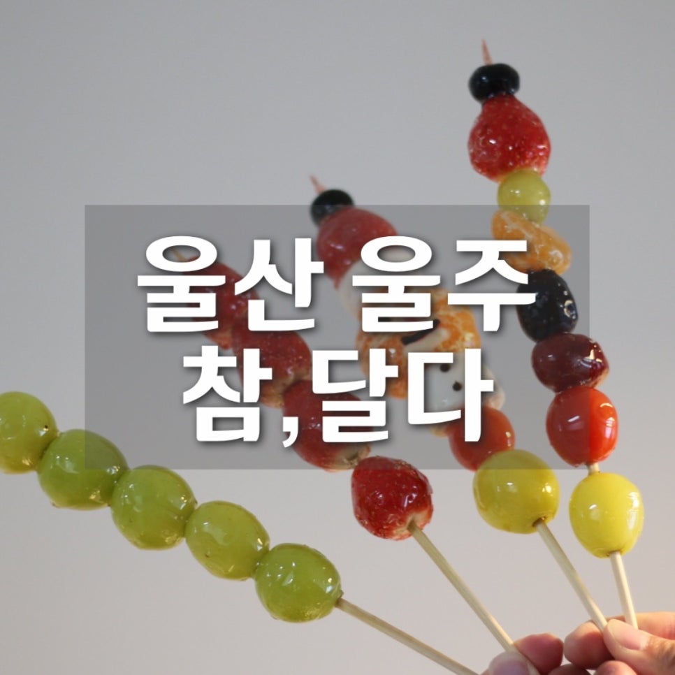 참;달다 이미지