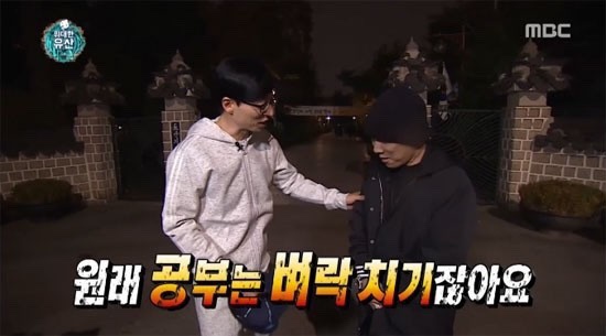 가야미과 이미지