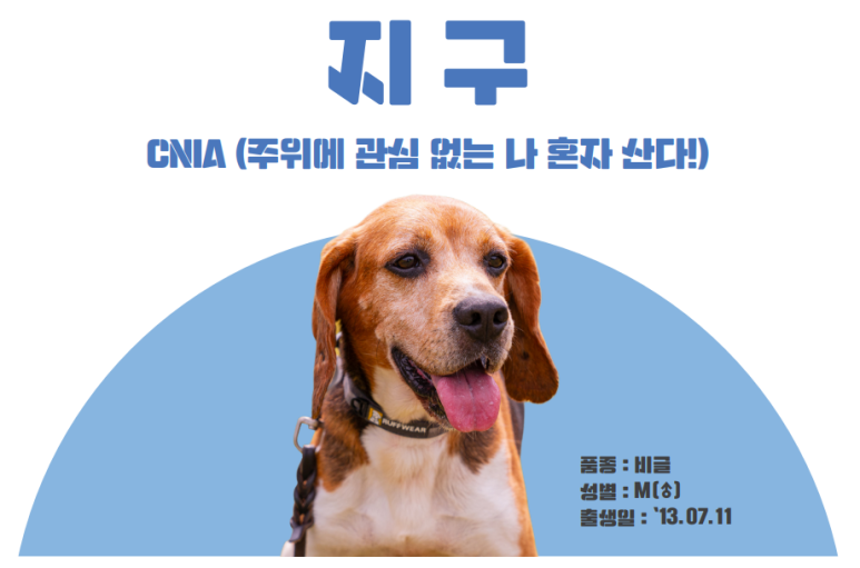 도래축산물 이미지